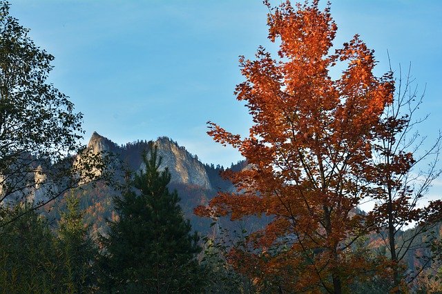 Free download Autumn Mountains Landscape free photo template to be edited with GIMP online image editor