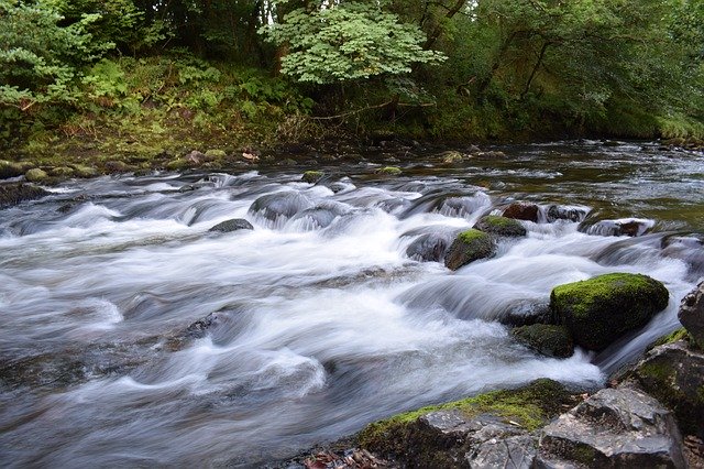 Free download Bach Water Nature free photo template to be edited with GIMP online image editor