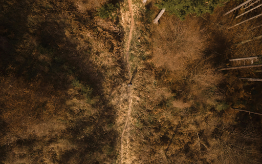 Aerial View of Forest Trail in Styria, Austria from Chrome web store to be run with OffiDocs Chromium online Aerial View of Forest Trail in Styria, Austria from Chrome web store to be run with OffiDocs Chromium online