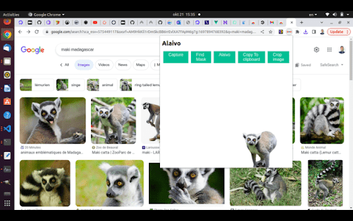 Alaivo from Chrome web store to be run with OffiDocs Chromium online Alaivo from Chrome web store to be run with OffiDocs Chromium online