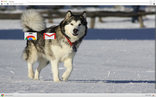Alaskan Malamute Theme from Chrome web store to be run with OffiDocs Chromium online Alaskan Malamute Theme from Chrome web store to be run with OffiDocs Chromium online