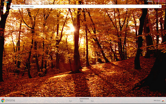 Alluring Fall spring from Chrome web store to be run with OffiDocs Chromium online Alluring Fall spring from Chrome web store to be run with OffiDocs Chromium online