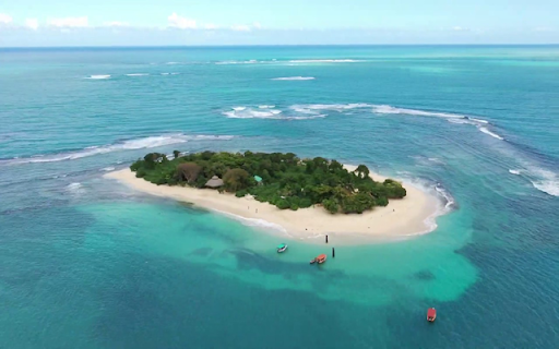 Amiga Island from Chrome web store to be run with OffiDocs Chromium online Amiga Island from Chrome web store to be run with OffiDocs Chromium online