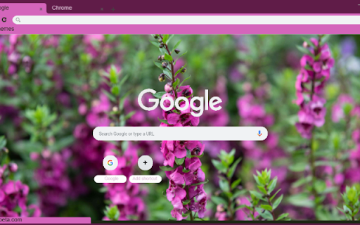 Angelonia from Chrome web store to be run with OffiDocs Chromium online Angelonia from Chrome web store to be run with OffiDocs Chromium online