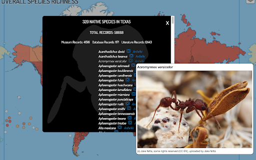 AntMaps Plus from Chrome web store to be run with OffiDocs Chromium online AntMaps Plus from Chrome web store to be run with OffiDocs Chromium online