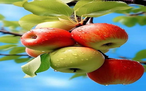 apple bunch wallpaper from Chrome web store to be run with OffiDocs Chromium online apple bunch wallpaper from Chrome web store to be run with OffiDocs Chromium online
