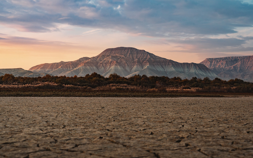 Arid land from Chrome web store to be run with OffiDocs Chromium online Arid land from Chrome web store to be run with OffiDocs Chromium online