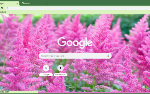 Astilbe from Chrome web store to be run with OffiDocs Chromium online Astilbe from Chrome web store to be run with OffiDocs Chromium online