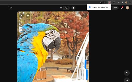 AutoShorts from Chrome web store to be run with OffiDocs Chromium online AutoShorts from Chrome web store to be run with OffiDocs Chromium online