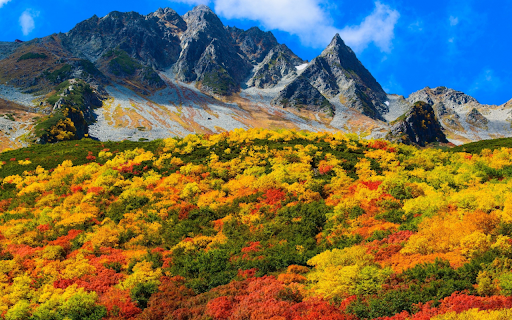 Autumnal Beauty from Chrome web store to be run with OffiDocs Chromium online Autumnal Beauty from Chrome web store to be run with OffiDocs Chromium online