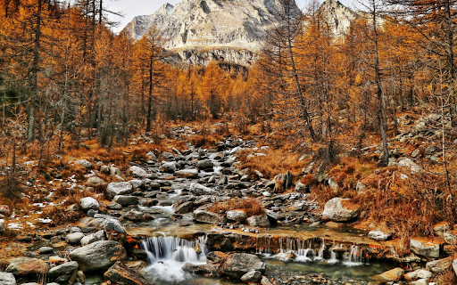 Autumnal Serenity from Chrome web store to be run with OffiDocs Chromium online Autumnal Serenity from Chrome web store to be run with OffiDocs Chromium online