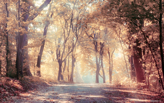 Autumn in the Park from Chrome web store to be run with OffiDocs Chromium online Autumn in the Park from Chrome web store to be run with OffiDocs Chromium online