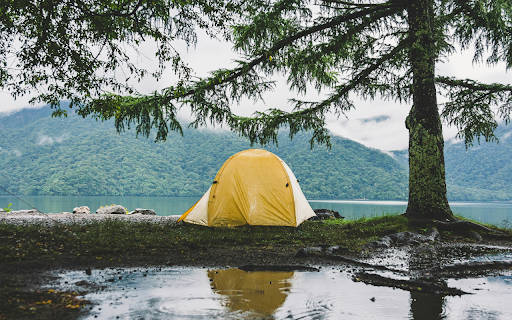 A Yellow Tent beside a Tree from Chrome web store to be run with OffiDocs Chromium online A Yellow Tent beside a Tree from Chrome web store to be run with OffiDocs Chromium online