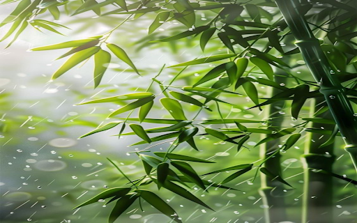 Bamboo tree in the rain wallpaper from Chrome web store to be run with OffiDocs Chromium online Bamboo tree in the rain wallpaper from Chrome web store to be run with OffiDocs Chromium online