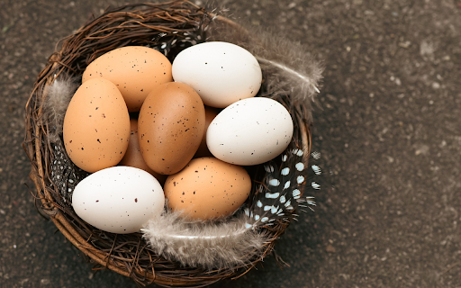 Basket of Bird Eggs from Chrome web store to be run with OffiDocs Chromium online Basket of Bird Eggs from Chrome web store to be run with OffiDocs Chromium online