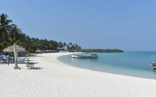 Beach huts from Chrome web store to be run with OffiDocs Chromium online Beach huts from Chrome web store to be run with OffiDocs Chromium online