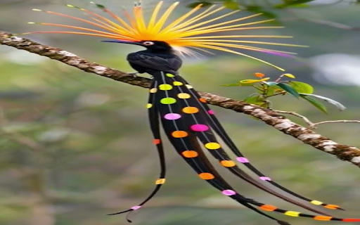 Beautiful bird wallpapers from Chrome web store to be run with OffiDocs Chromium online Beautiful bird wallpapers from Chrome web store to be run with OffiDocs Chromium online