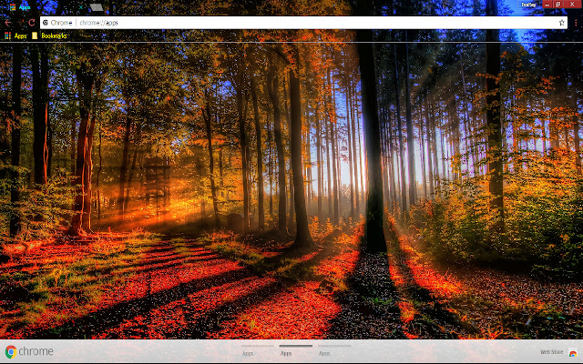 Beautiful Fall Forest Leaf from Chrome web store to be run with OffiDocs Chromium online Beautiful Fall Forest Leaf from Chrome web store to be run with OffiDocs Chromium online