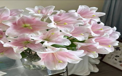 beautiful lily flower wallpaper from Chrome web store to be run with OffiDocs Chromium online beautiful lily flower wallpaper from Chrome web store to be run with OffiDocs Chromium online