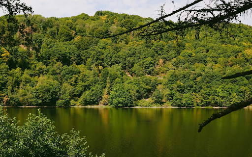 Big green lake from Chrome web store to be run with OffiDocs Chromium online Big green lake from Chrome web store to be run with OffiDocs Chromium online