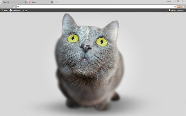 Big Head Kitten from Chrome web store to be run with OffiDocs Chromium online Big Head Kitten from Chrome web store to be run with OffiDocs Chromium online
