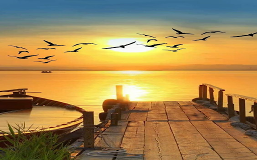 Birds flying towards the sun Wallpaper from Chrome web store to be run with OffiDocs Chromium online Birds flying towards the sun Wallpaper from Chrome web store to be run with OffiDocs Chromium online
