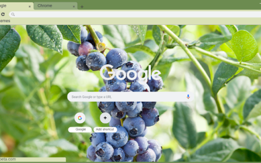 Blueberry Tree from Chrome web store to be run with OffiDocs Chromium online Blueberry Tree from Chrome web store to be run with OffiDocs Chromium online