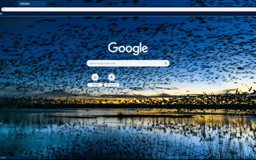 Blue Bird Skies from Chrome web store to be run with OffiDocs Chromium online Blue Bird Skies from Chrome web store to be run with OffiDocs Chromium online