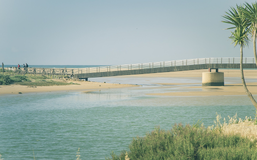 Bridge and river in dry season from Chrome web store to be run with OffiDocs Chromium online Bridge and river in dry season from Chrome web store to be run with OffiDocs Chromium online