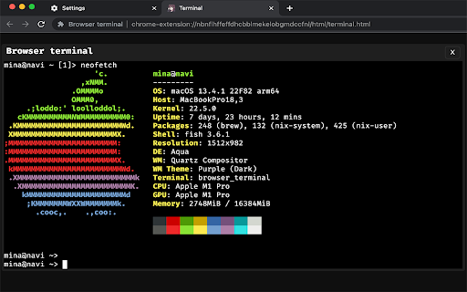 Browser terminal from Chrome web store to be run with OffiDocs Chromium online Browser terminal from Chrome web store to be run with OffiDocs Chromium online