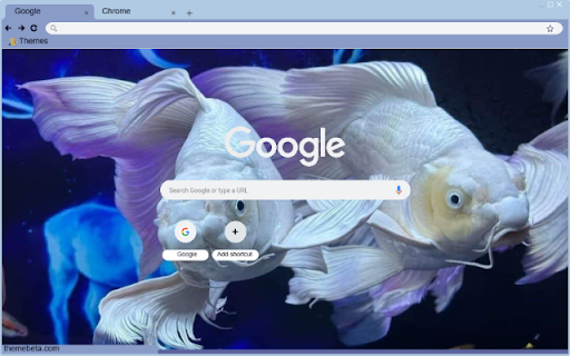 Ca long vu from Chrome web store to be run with OffiDocs Chromium online Ca long vu from Chrome web store to be run with OffiDocs Chromium online