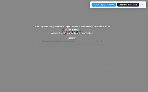 CaptureFlash from Chrome web store to be run with OffiDocs Chromium online CaptureFlash from Chrome web store to be run with OffiDocs Chromium online
