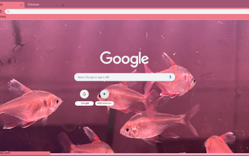 Ca Siam from Chrome web store to be run with OffiDocs Chromium online Ca Siam from Chrome web store to be run with OffiDocs Chromium online