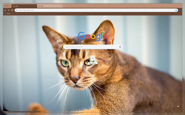 cats view from Chrome web store to be run with OffiDocs Chromium online cats view from Chrome web store to be run with OffiDocs Chromium online