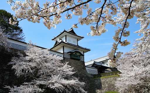 Cherry blossom pagoda from Chrome web store to be run with OffiDocs Chromium online Cherry blossom pagoda from Chrome web store to be run with OffiDocs Chromium online