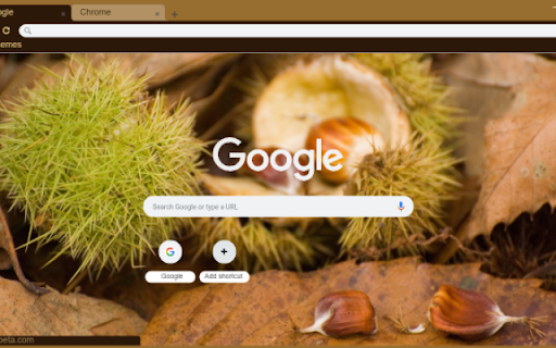 Chestnut from Chrome web store to be run with OffiDocs Chromium online Chestnut from Chrome web store to be run with OffiDocs Chromium online