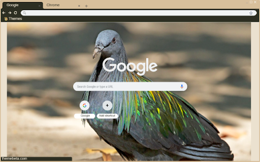 Chim Bo Cau Dai from Chrome web store to be run with OffiDocs Chromium online Chim Bo Cau Dai from Chrome web store to be run with OffiDocs Chromium online