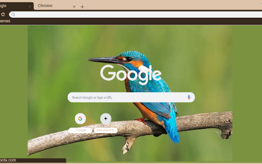 Chim Bo Teo from Chrome web store to be run with OffiDocs Chromium online Chim Bo Teo from Chrome web store to be run with OffiDocs Chromium online