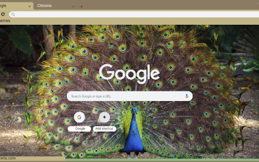 Chim Cong from Chrome web store to be run with OffiDocs Chromium online Chim Cong from Chrome web store to be run with OffiDocs Chromium online