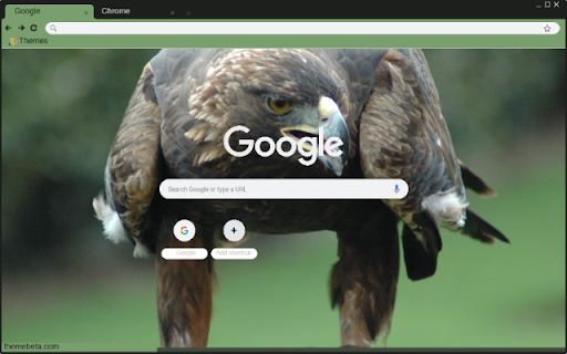 Chim dai bang vang from Chrome web store to be run with OffiDocs Chromium online Chim dai bang vang from Chrome web store to be run with OffiDocs Chromium online