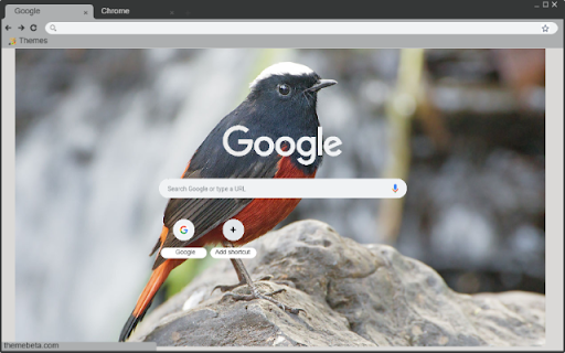 Chim Dau Trang from Chrome web store to be run with OffiDocs Chromium online Chim Dau Trang from Chrome web store to be run with OffiDocs Chromium online
