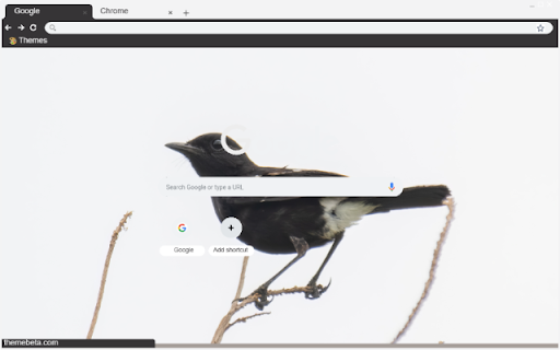 Chim Se Den from Chrome web store to be run with OffiDocs Chromium online Chim Se Den from Chrome web store to be run with OffiDocs Chromium online