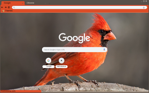 Chim Se Do from Chrome web store to be run with OffiDocs Chromium online Chim Se Do from Chrome web store to be run with OffiDocs Chromium online