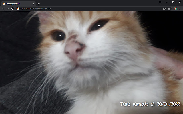 Chiri Tab from Chrome web store to be run with OffiDocs Chromium online Chiri Tab from Chrome web store to be run with OffiDocs Chromium online