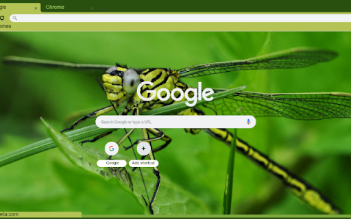 Chuon chuon xanh from Chrome web store to be run with OffiDocs Chromium online Chuon chuon xanh from Chrome web store to be run with OffiDocs Chromium online