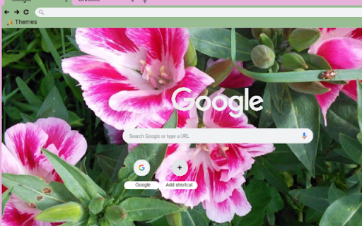 Clarkia from Chrome web store to be run with OffiDocs Chromium online Clarkia from Chrome web store to be run with OffiDocs Chromium online