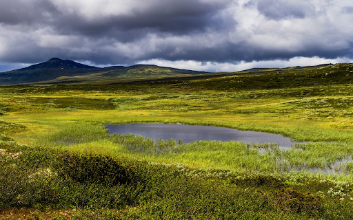 Clear puddle on grassland from Chrome web store to be run with OffiDocs Chromium online Clear puddle on grassland from Chrome web store to be run with OffiDocs Chromium online
