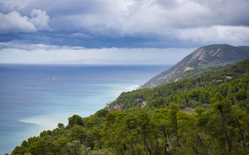 Coastal forest from Chrome web store to be run with OffiDocs Chromium online Coastal forest from Chrome web store to be run with OffiDocs Chromium online