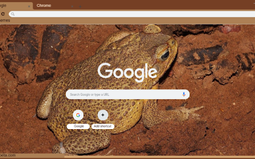 Coc from Chrome web store to be run with OffiDocs Chromium online Coc from Chrome web store to be run with OffiDocs Chromium online