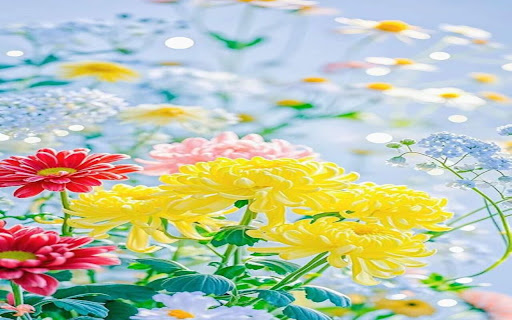 colorful daisy wallpaper from Chrome web store to be run with OffiDocs Chromium online colorful daisy wallpaper from Chrome web store to be run with OffiDocs Chromium online